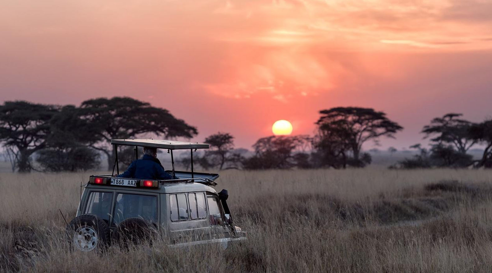 How Much Does It Cost To Visit Serengeti National Park