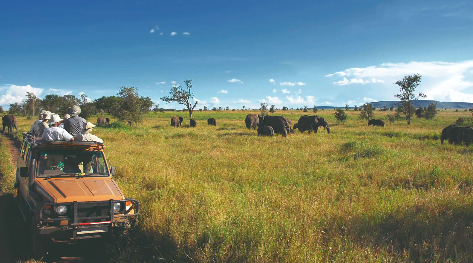 How To Get To Serengeti National Park