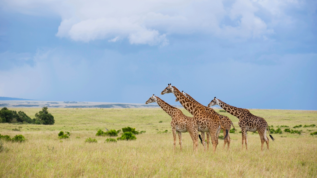 Lake Manyara National Park