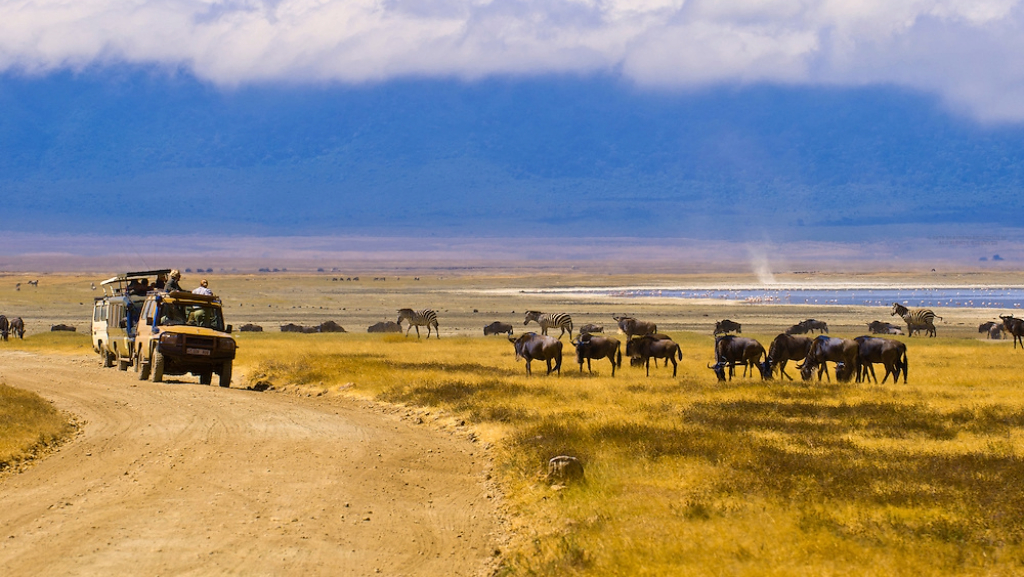 Ngorongoro Conservation Area Safari