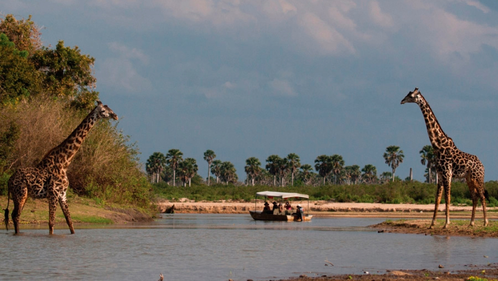 Tanzania Safari Vaccations