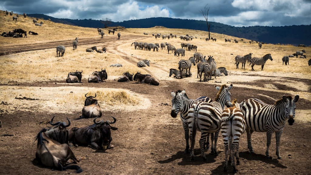 Serengeti National Park