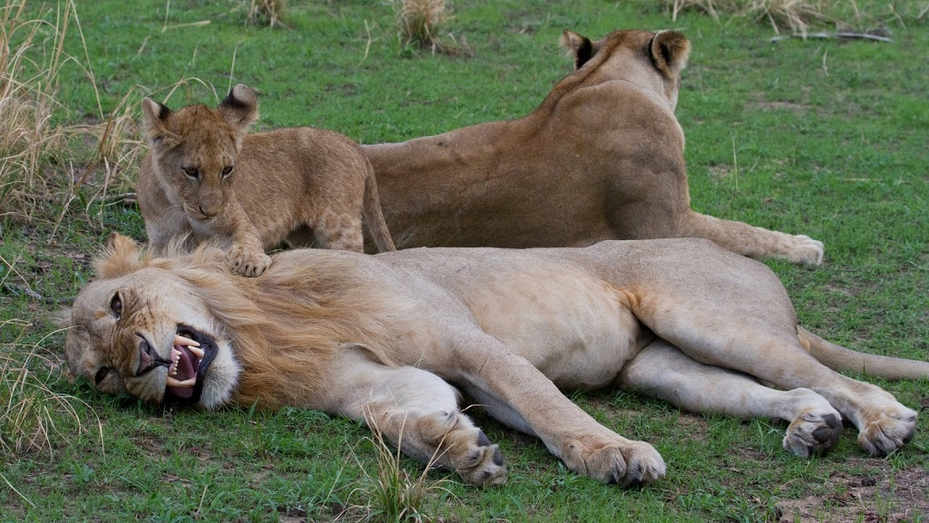 Katavi National Park