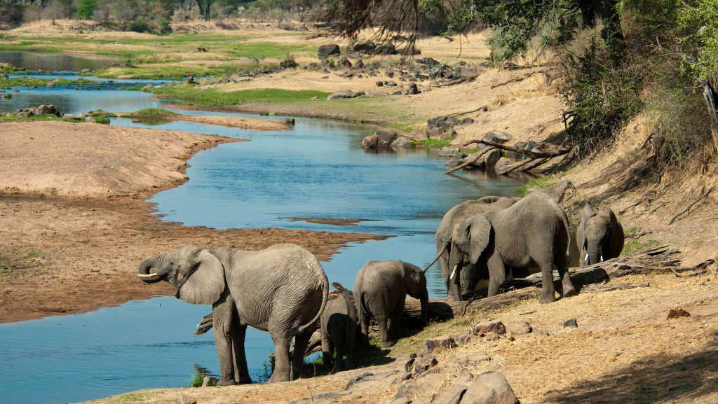 Ruaha National Park