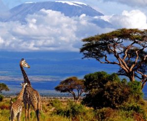 December a Good Time to Visit Tanzania