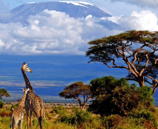 December a Good Time to Visit Tanzania