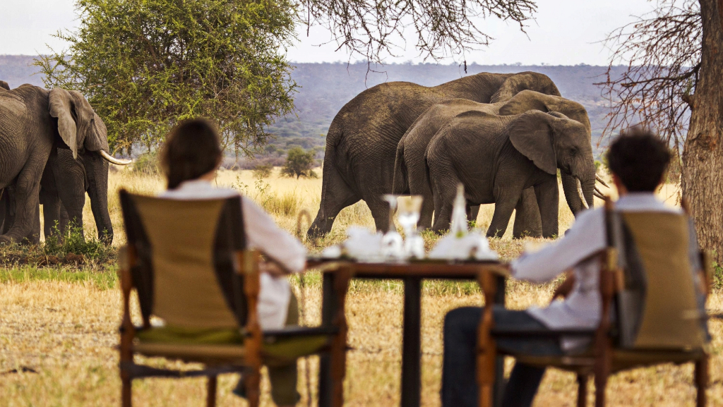 Factors Affecting Safari Costs