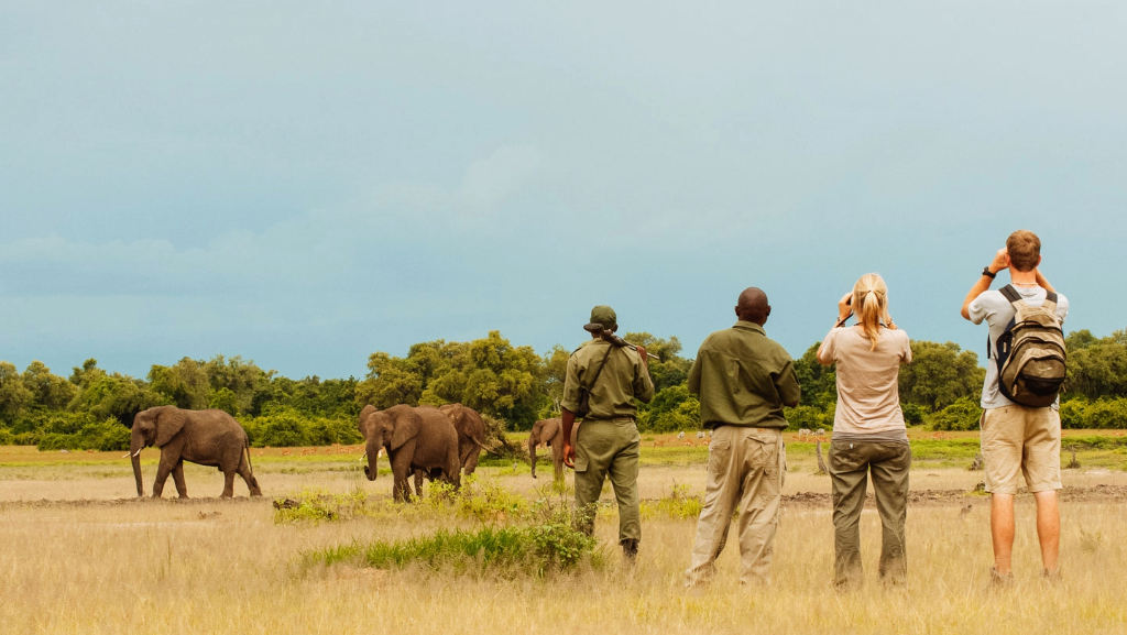 Safari Destinations in February