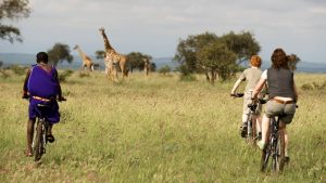 Wildlife Experiences In Tanzania