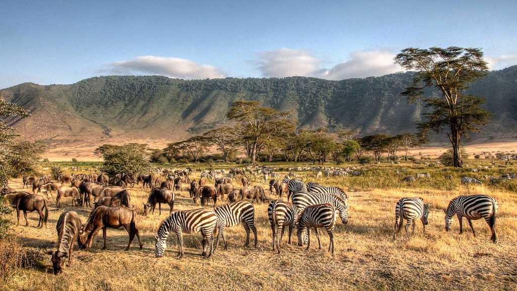 Tanzania Safari in February