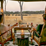 Honeymoon Safari in Tanzania