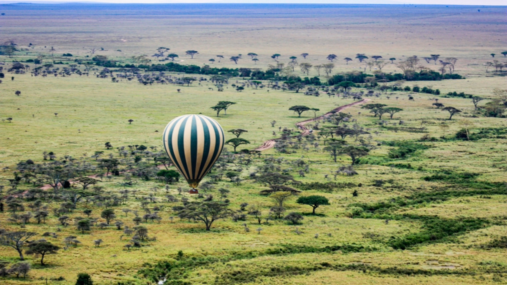 Serengeti Safari Vacations