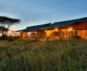 Tanzania lodge safari