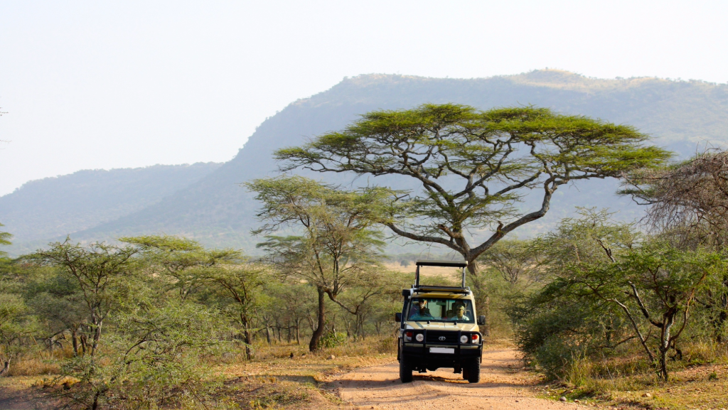 Serengeti Self Drive Safaris