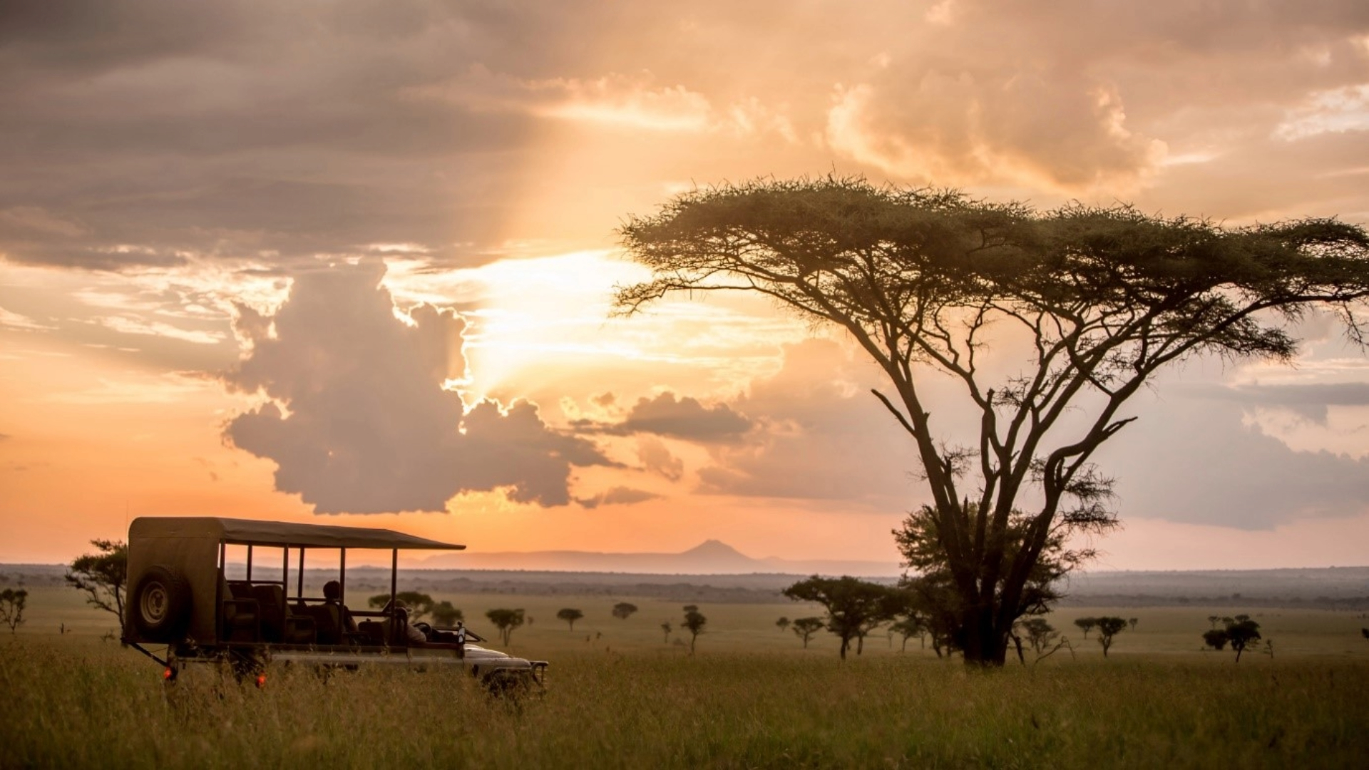 Morning-Game-Drive-in-Tanzania