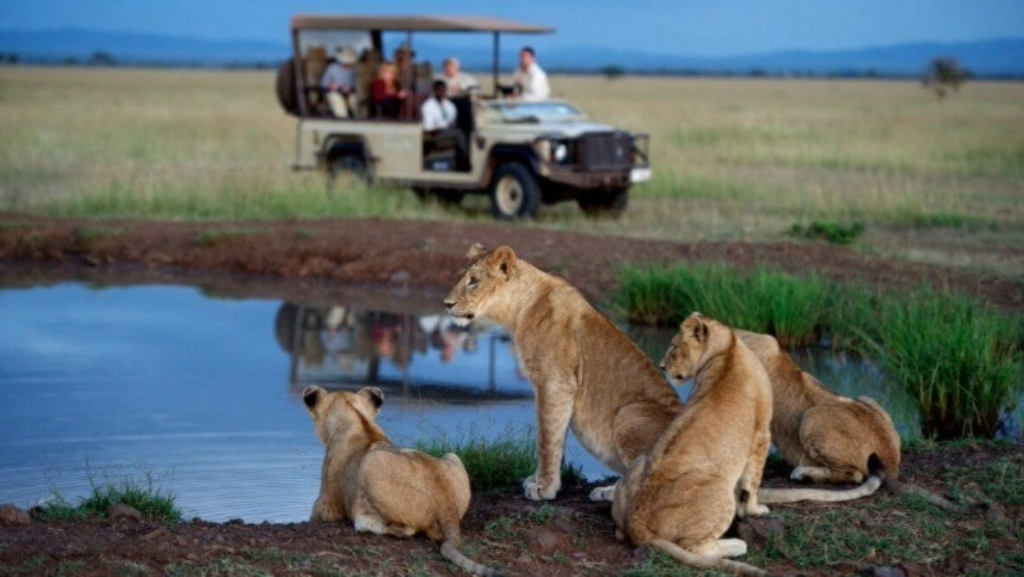 Tanzanian Safari Vacation