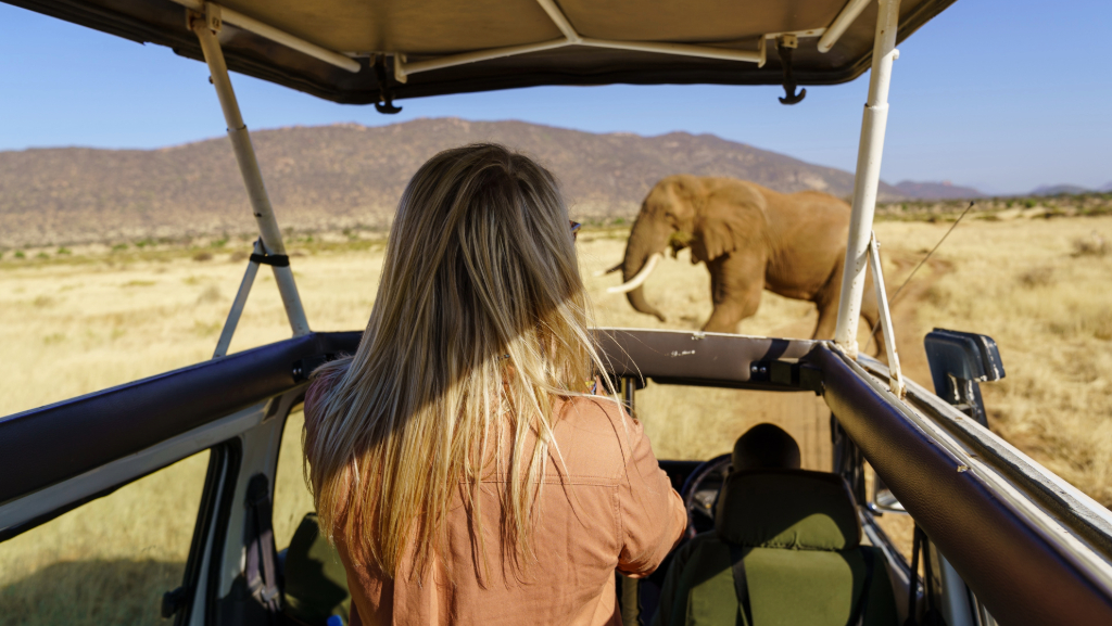 Best Safari Experience in Tanzania 