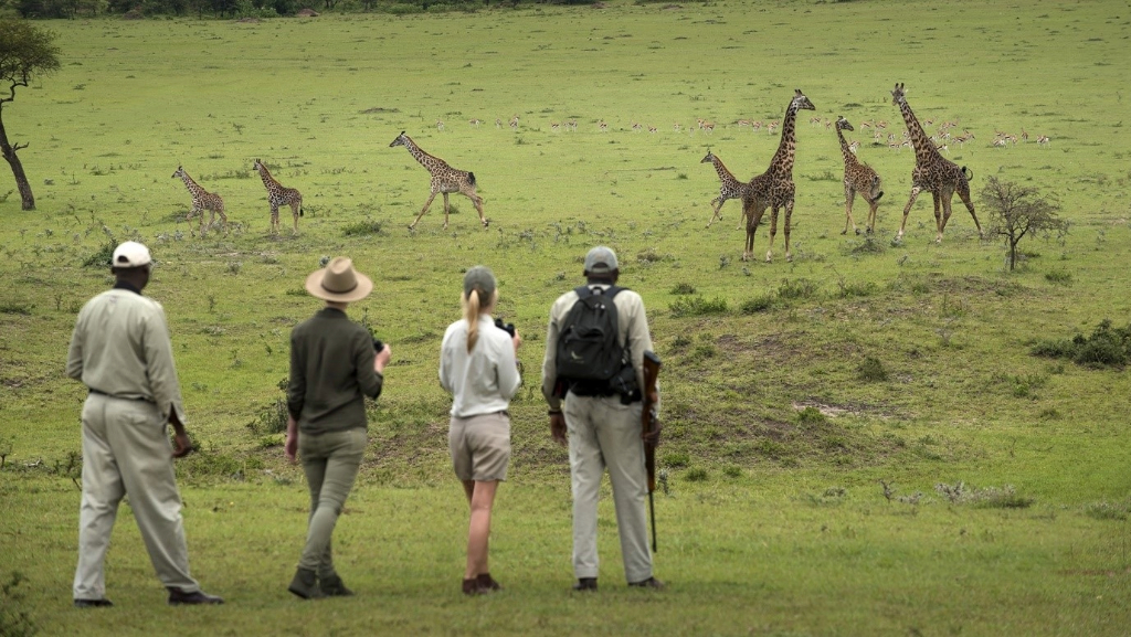 Tanzania Safari Guide 