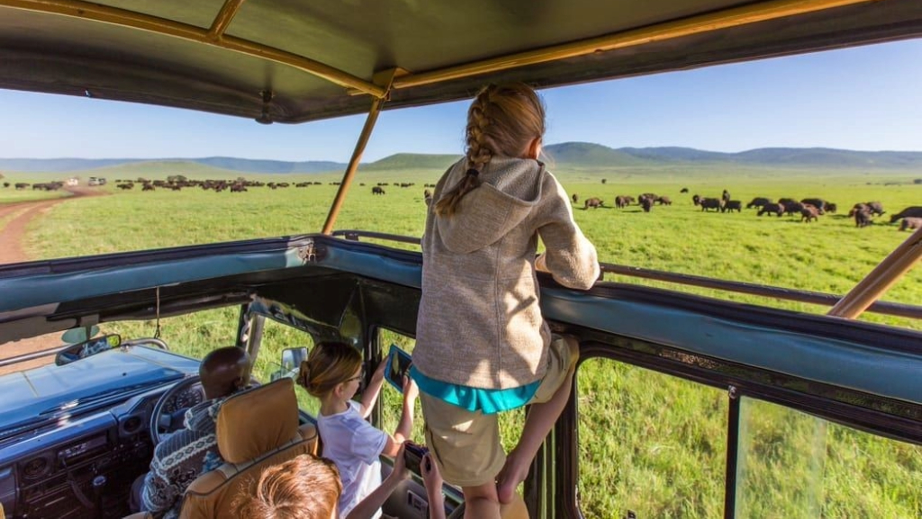 Tanzania Safari Vacations Packages