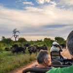 Safari Experience in Tanzania