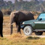 Tanzania-Safari-Guides
