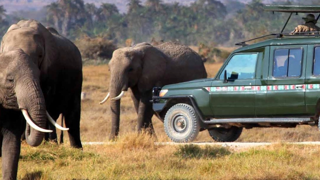 Tanzania-Safari-Guides