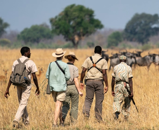 Tanzania Walking Safaris