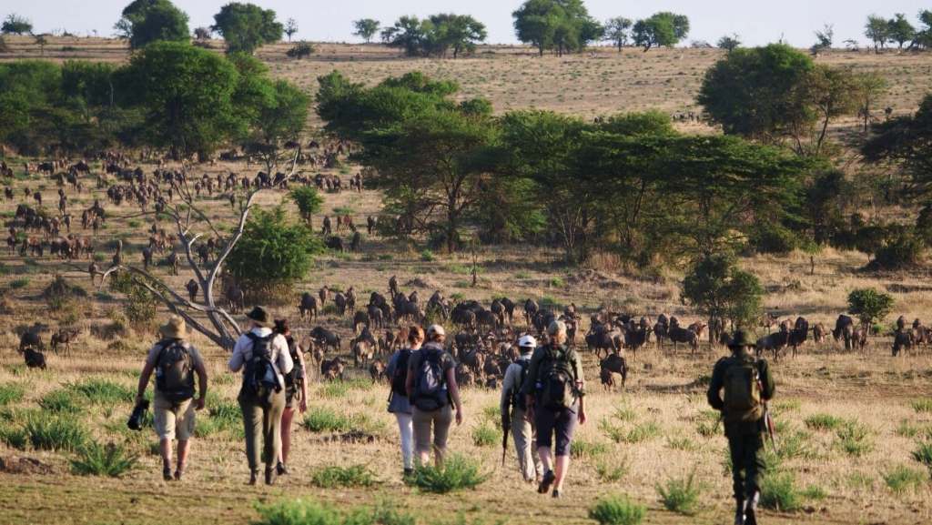 Walking Safaris in Tanzania