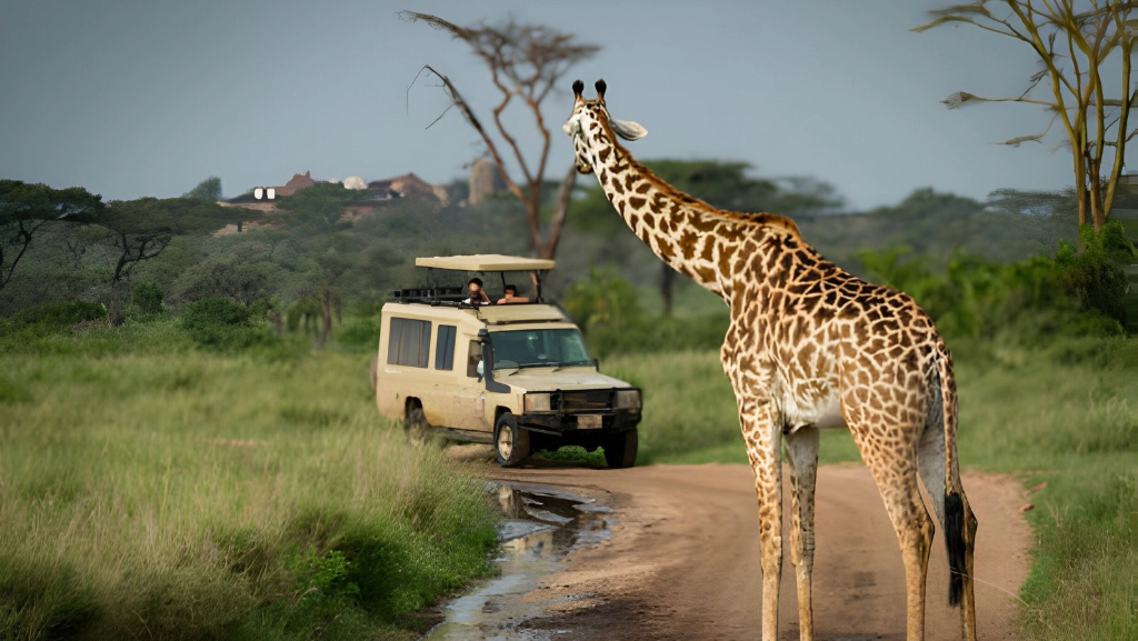 Private Guided Safaris in Tanzania