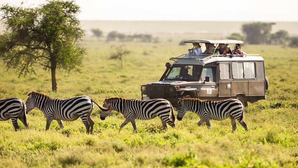 Safari Vacations in Tanzania