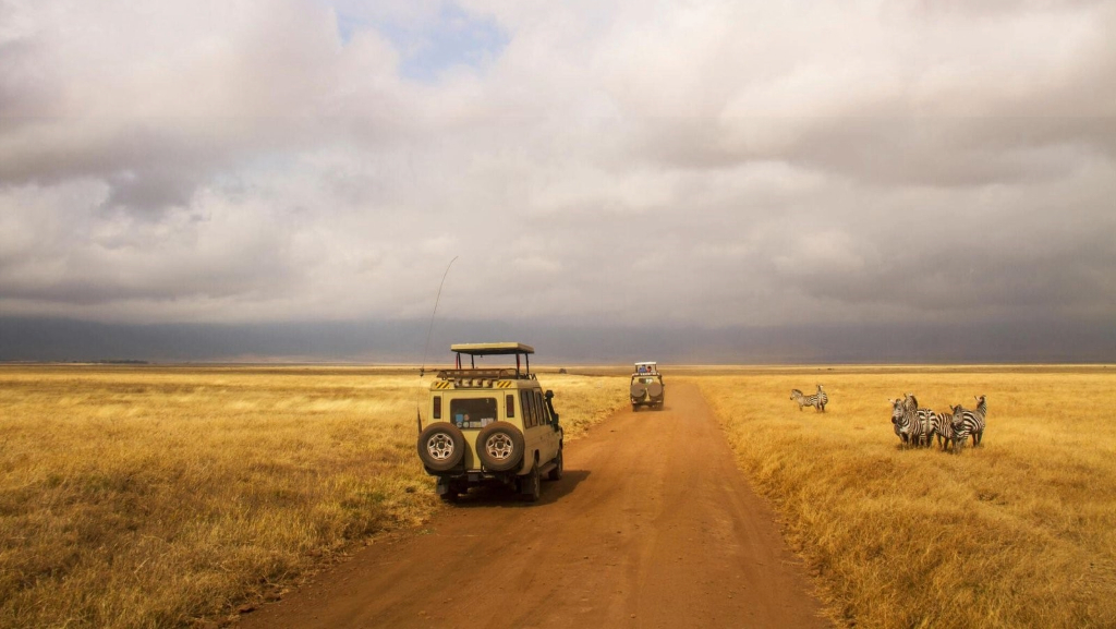 Private Guided Safaris in Tanzania