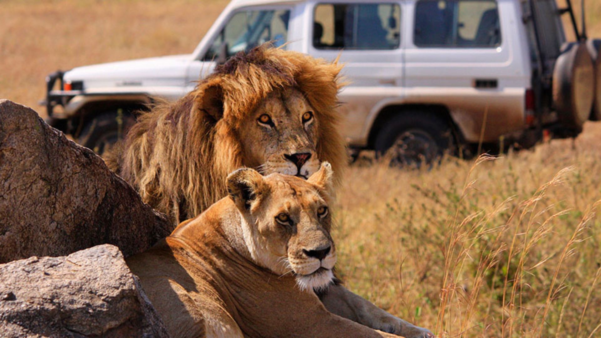 Tanzania Safari Vacations