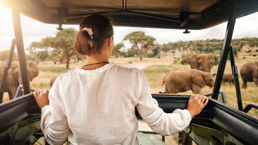 Solo Safari in Tanzania