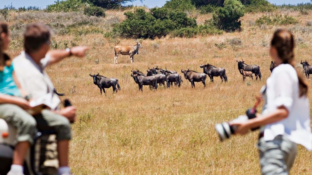 Tanzania Family Safaris