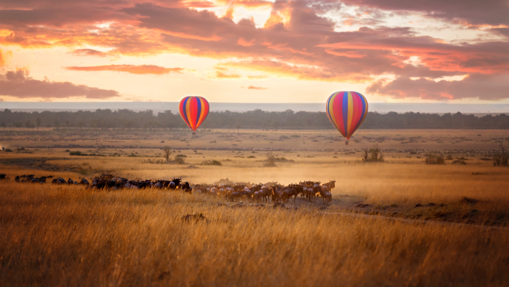  Serengeti Hot Air Balloon Safari 